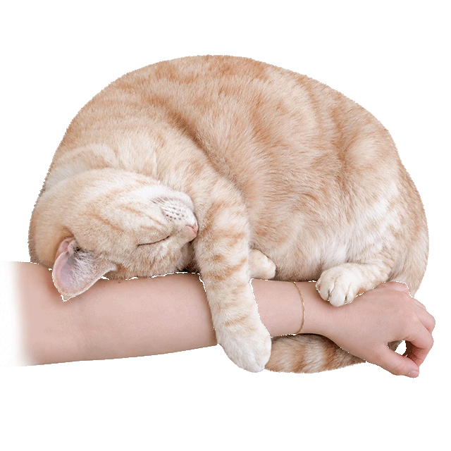 みっくん
